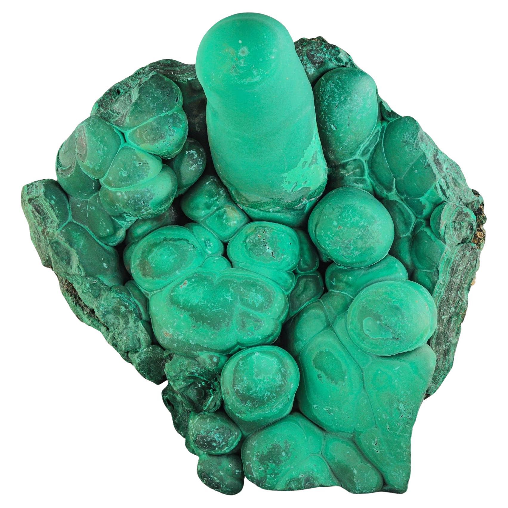 Botryoidal Habit Forest Green Color Malachite Specimen From Congo For Sale