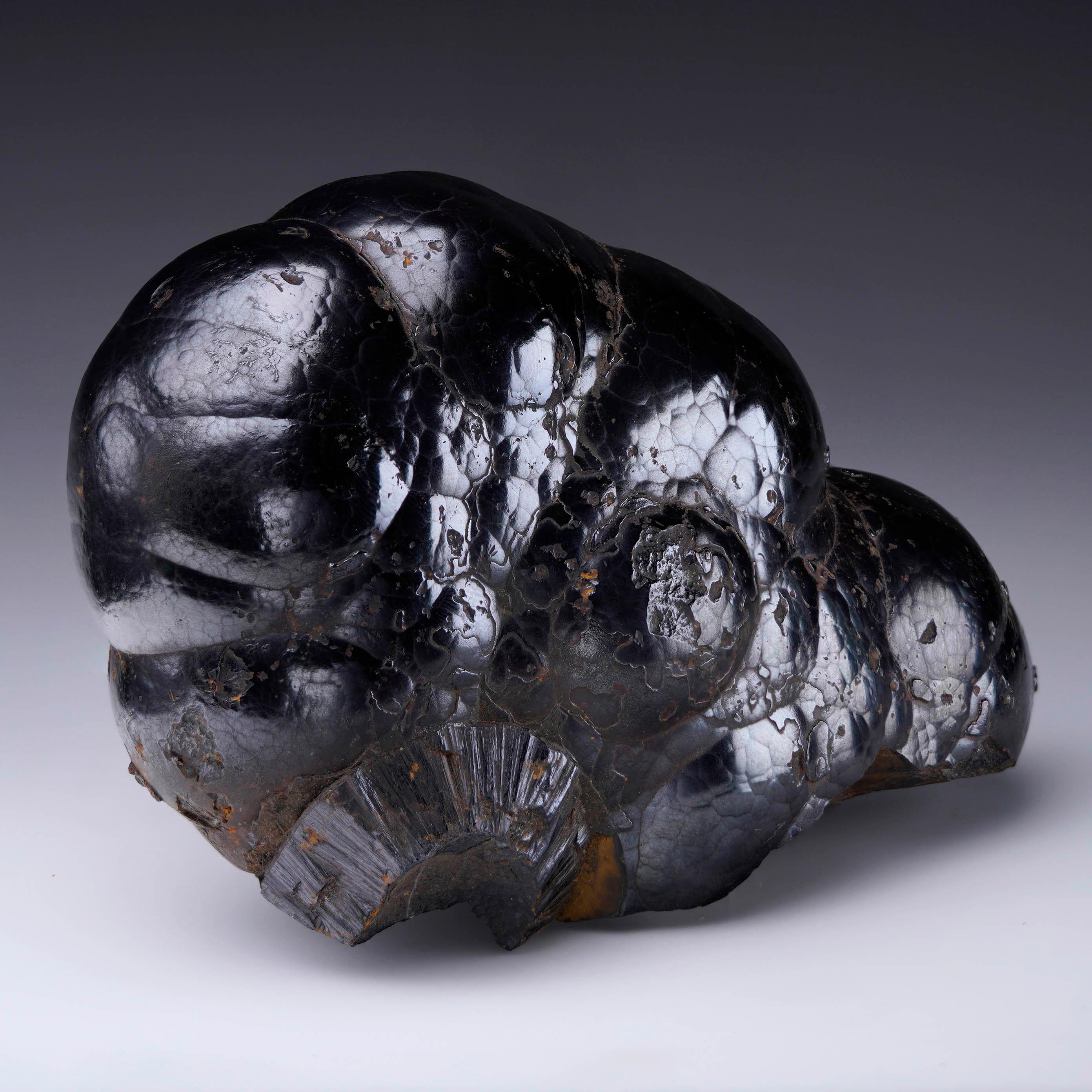 Questo sorprendente esemplare di ematite proveniente dal Marocco mostra una lucentezza naturale molto brillante sui contorni fluidi e arrotondati della struttura cristallina botrioidale. La forma scultorea e la densità di questo pezzo gli