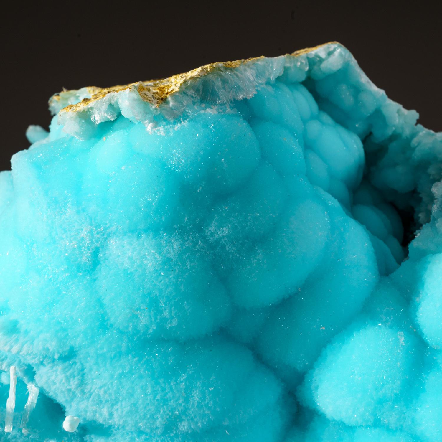 Grande formation botyroïde d'hémimorphite translucide bleu poudre sur matrice. L'hémimorphite présente une surface scintillante composée de faces cristallines microscopiques qui lui confèrent un éclat étincelant.

 

Poids : 11.6 lbs, Taille : 10 x