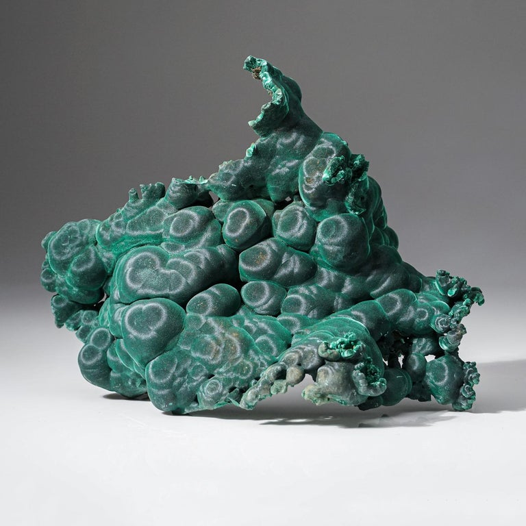 Botryoidal Malachite From Democratic Republic of the Congo For Sale at ...