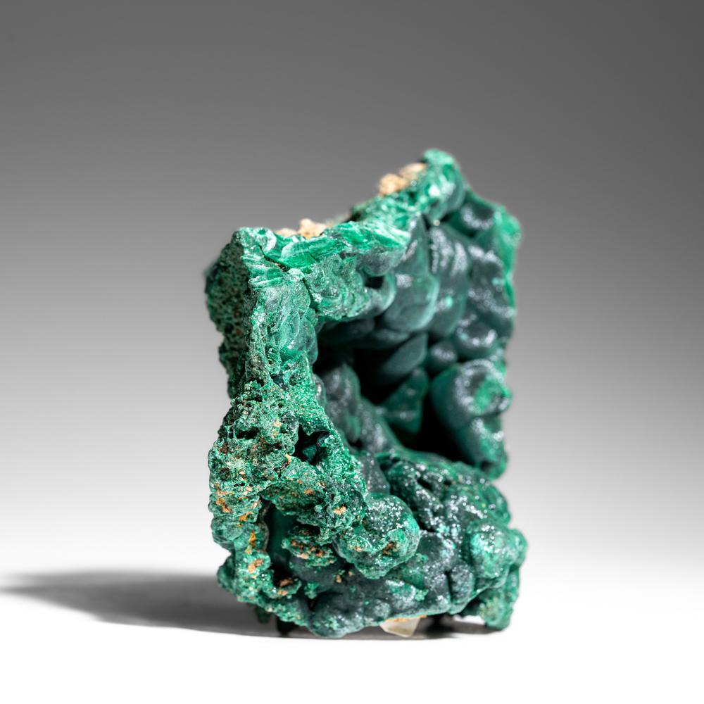 Dalla Shaba Copper Belt, provincia di Katanga (Shaba), Repubblica Democratica del Congo (Zaire) Una scultorea formazione botrioidale di solida malachite verde vellutata proveniente dalle famose miniere di rame di Shaba. Un bel colore verde brillante