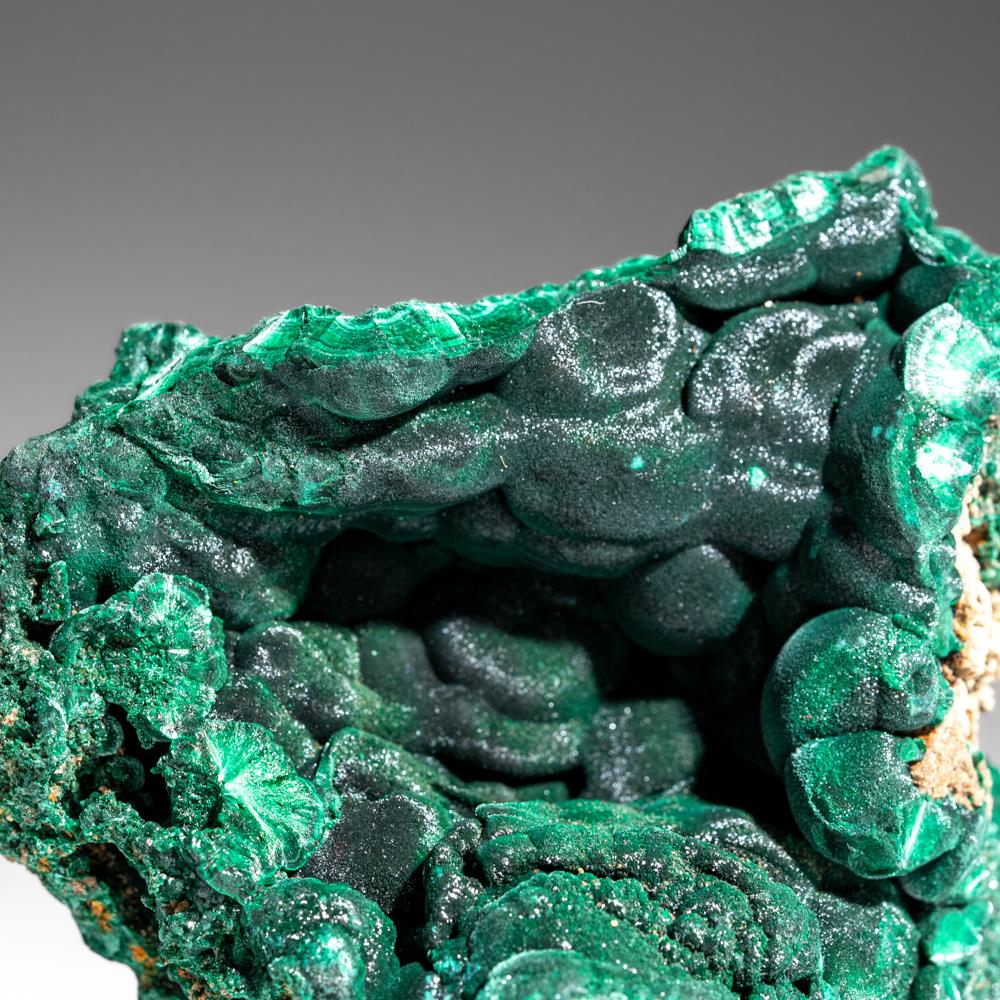 Congolese Malachite botrioidale dalla cintura del rame di Shaba, Repubblica Democratica del Congo in vendita