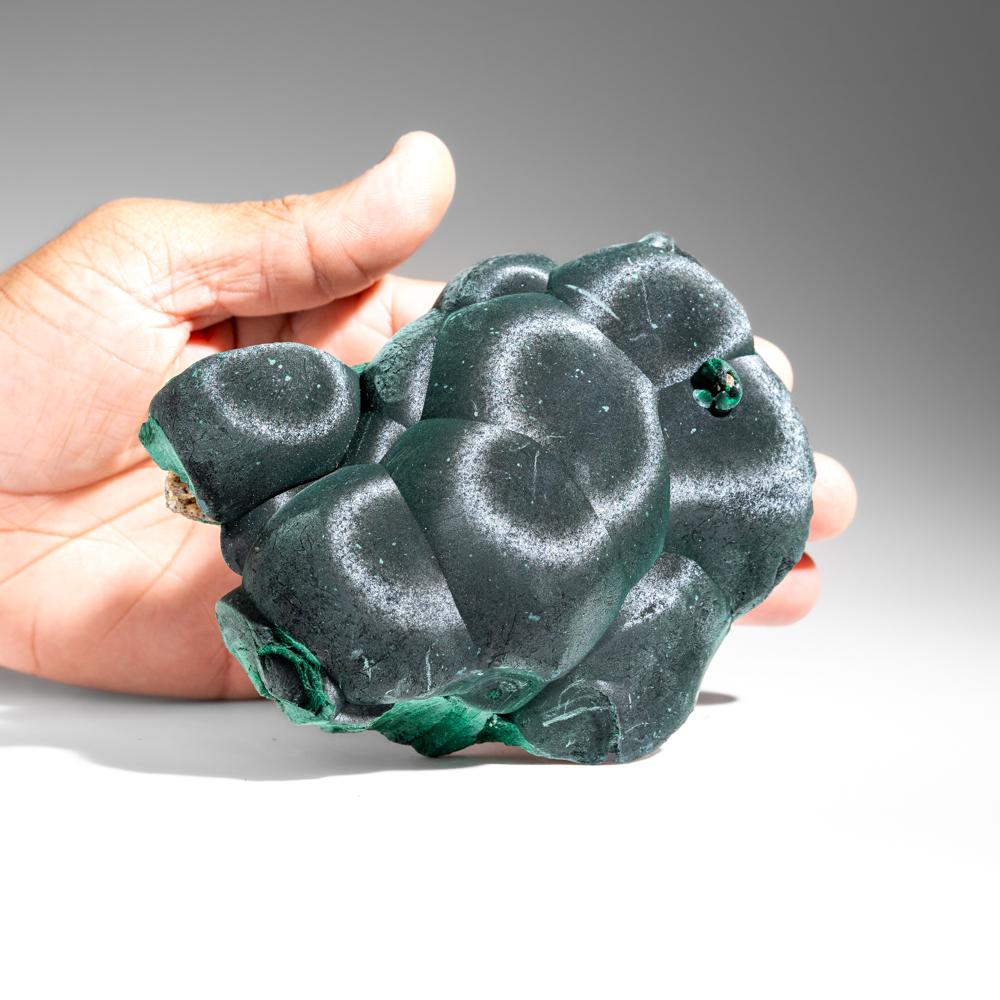 Congolese Botryoidal Malachite From Shaba Copper Belt, Democratic Republic of the Congo For Sale