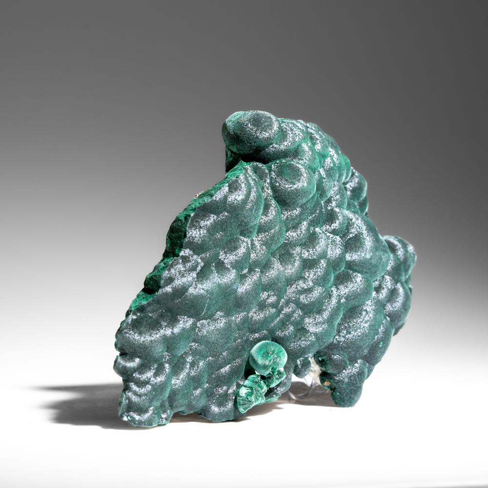 Malachite botrioidale dalla cintura del rame di Shaba, Repubblica Democratica del Congo In condizioni Nuovo in vendita a New York, NY