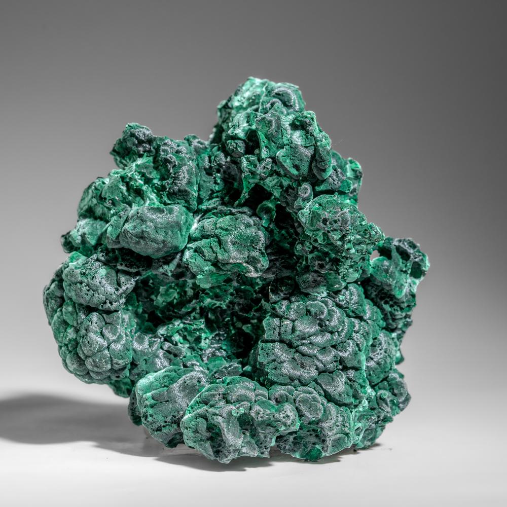 Malachite botrioidale dalla cintura del rame di Shaba, Repubblica Democratica del Congo In condizioni Nuovo in vendita a New York, NY