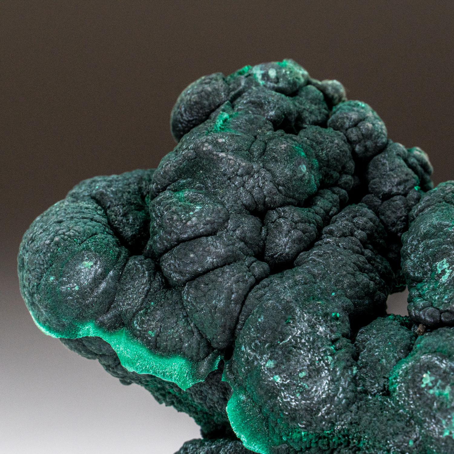 Botryoidal Malachite From Shaba Copper Belt, Democratic Republic of the Congo  In New Condition For Sale In New York, NY