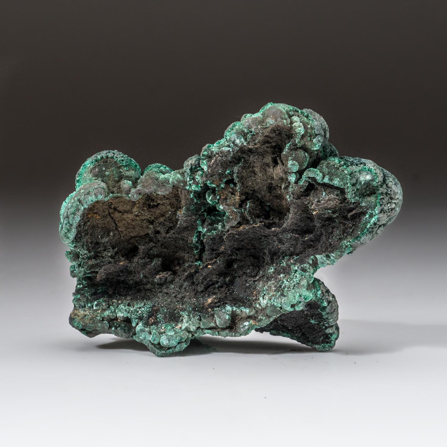 Contemporary Botryoidal Malachite From Shaba Copper Belt, Democratic Republic of the Congo  For Sale