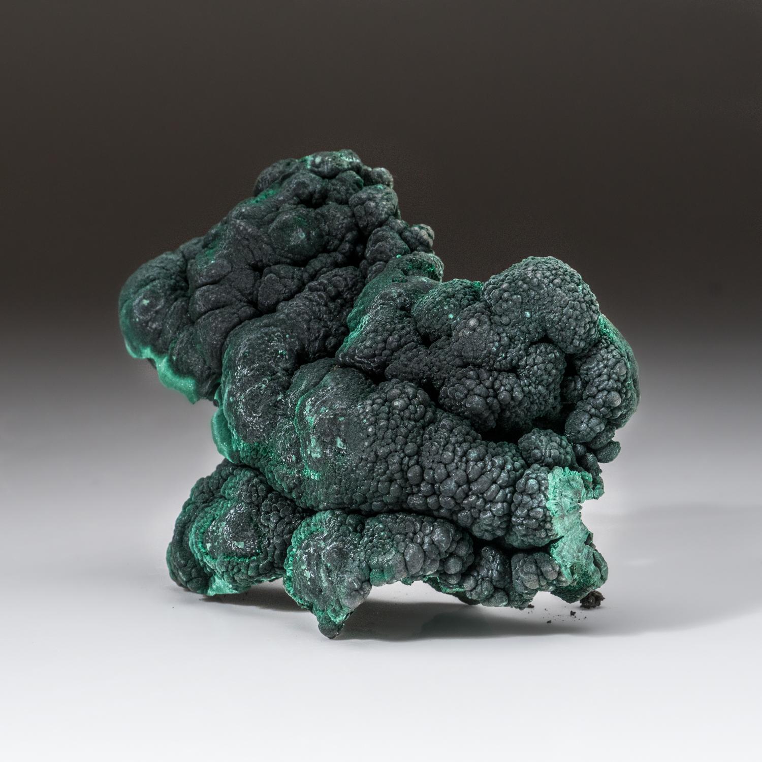 Other Botryoidal Malachite From Shaba Copper Belt, Democratic Republic of the Congo  For Sale
