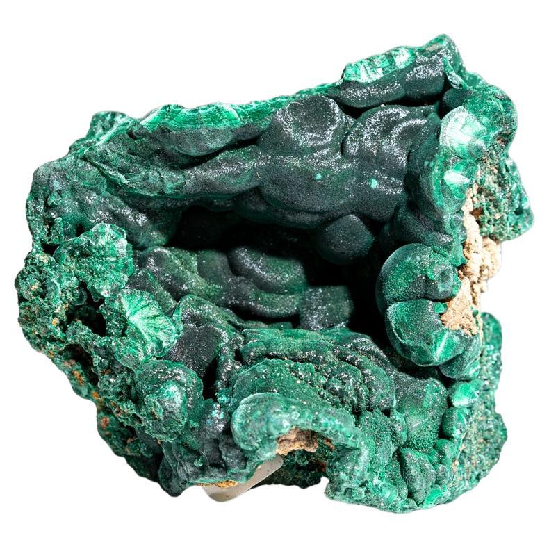 Botryoidal Malachite From Shaba Copper Belt, Democratic Republic of the Congo