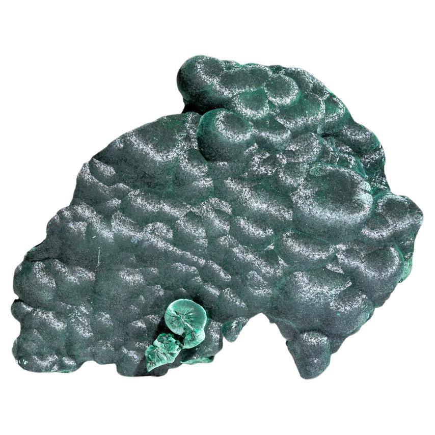 Botryoidal Malachite From Shaba Copper Belt, Democratic Republic of the Congo