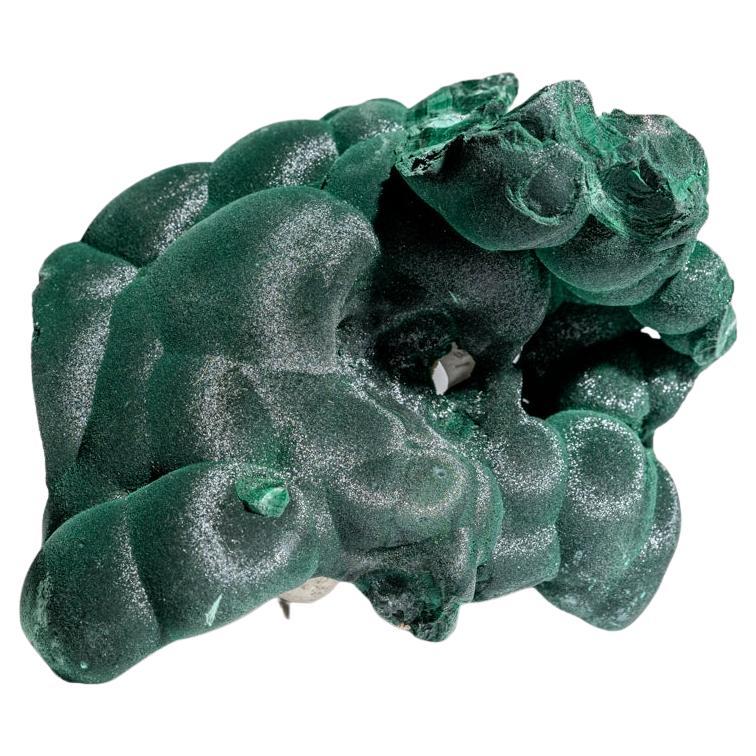 Botryoidal Malachite From Shaba Copper Belt, Democratic Republic of the Congo