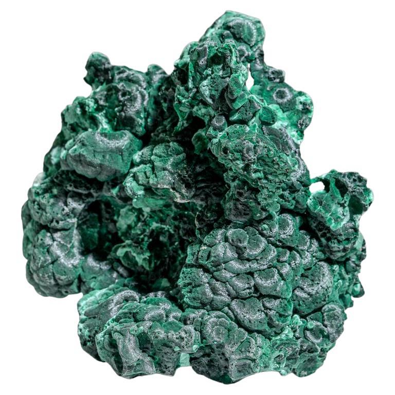 Botryoidal Malachite From Shaba Copper Belt, Democratic Republic of the Congo