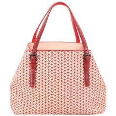 Bottega Veneta A-Shape Tote Cravatteria Intrecciato Nappa with Snakeskin