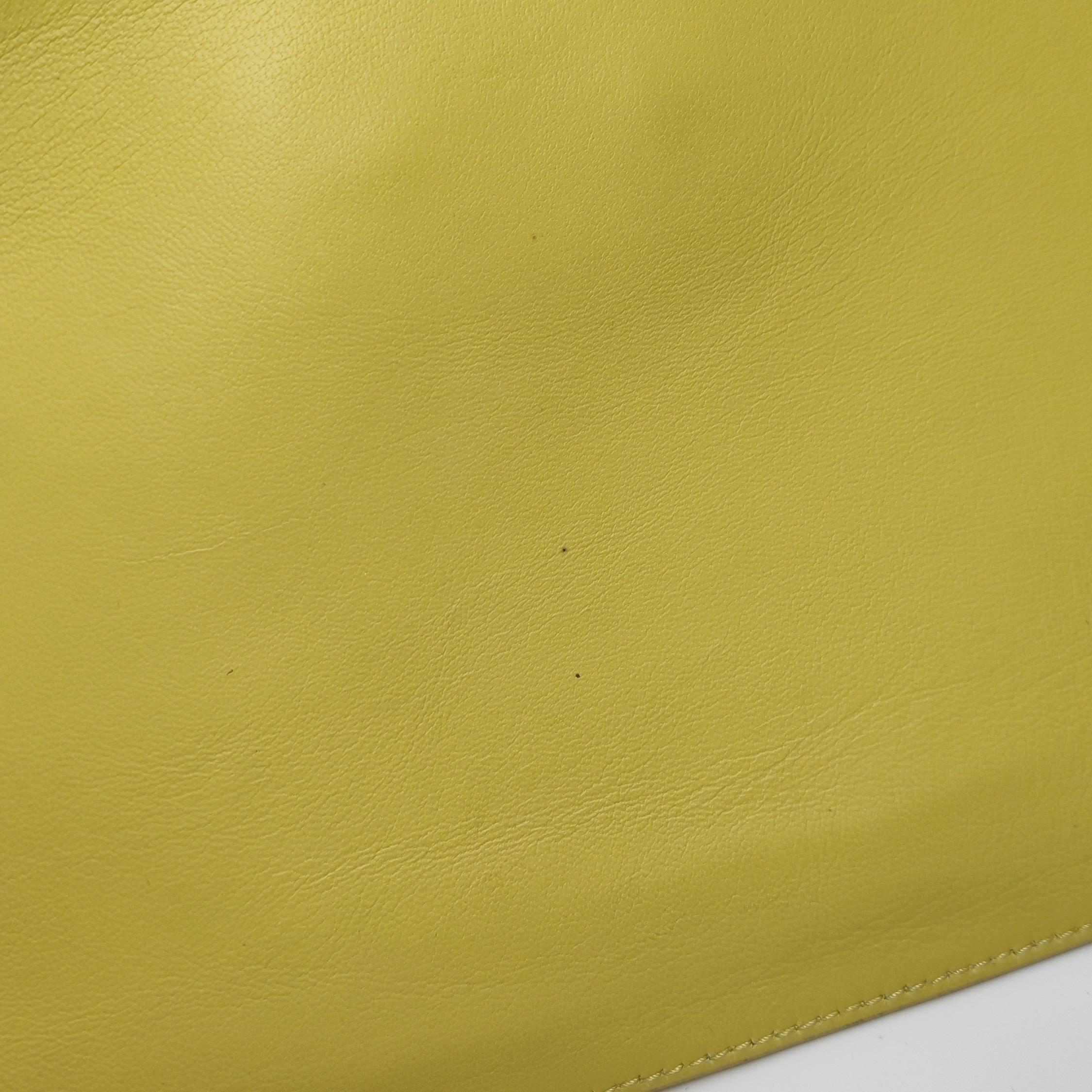 Bottega Veneta Cabat Limited Yellow Poussin Paillettes Tote 11