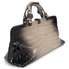 BOTTEGA VENETA gradient taupe 2016 SANT'ANDREA CROCODILE FRAME Bag