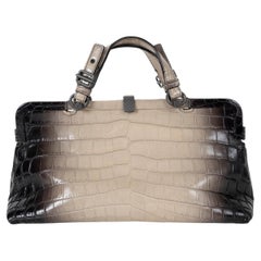 BOTTEGA VENETA gradient taupe 2016 SANT'ANDREA CROCODILE FRAME Bag