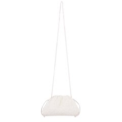 Bottega Veneta Mini Raffia Pouch Clutch Bag