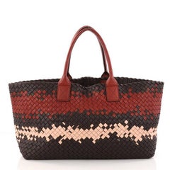 Bottega Veneta Multicolor Intrecciato Nappa Medium Cabat Tote