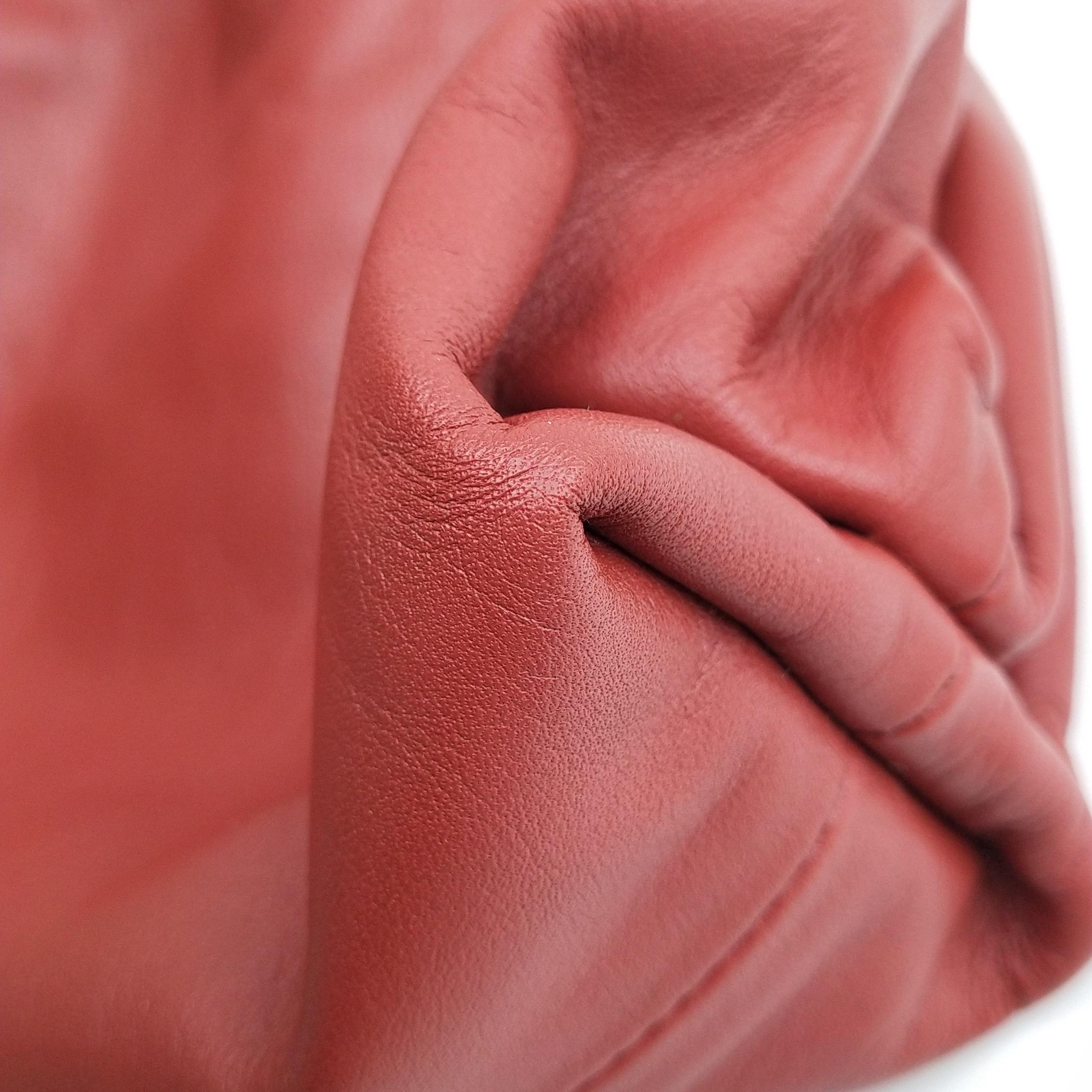 Bottega Veneta Bolsa Piel de Becerro Rojo Ladrillo Grande en venta 4