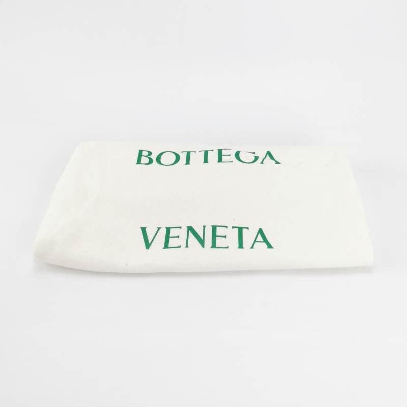 Bottega Veneta Pouch Mini Leather Parakeet Green 2