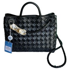 Bottega Veneta Small Andiamo Black Intrecciato Handbag