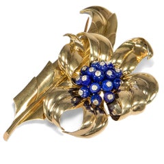 Boucheron Paris Vintage 1940s Diamond & Lapis Lazuli Gold Feather Flower Brooch