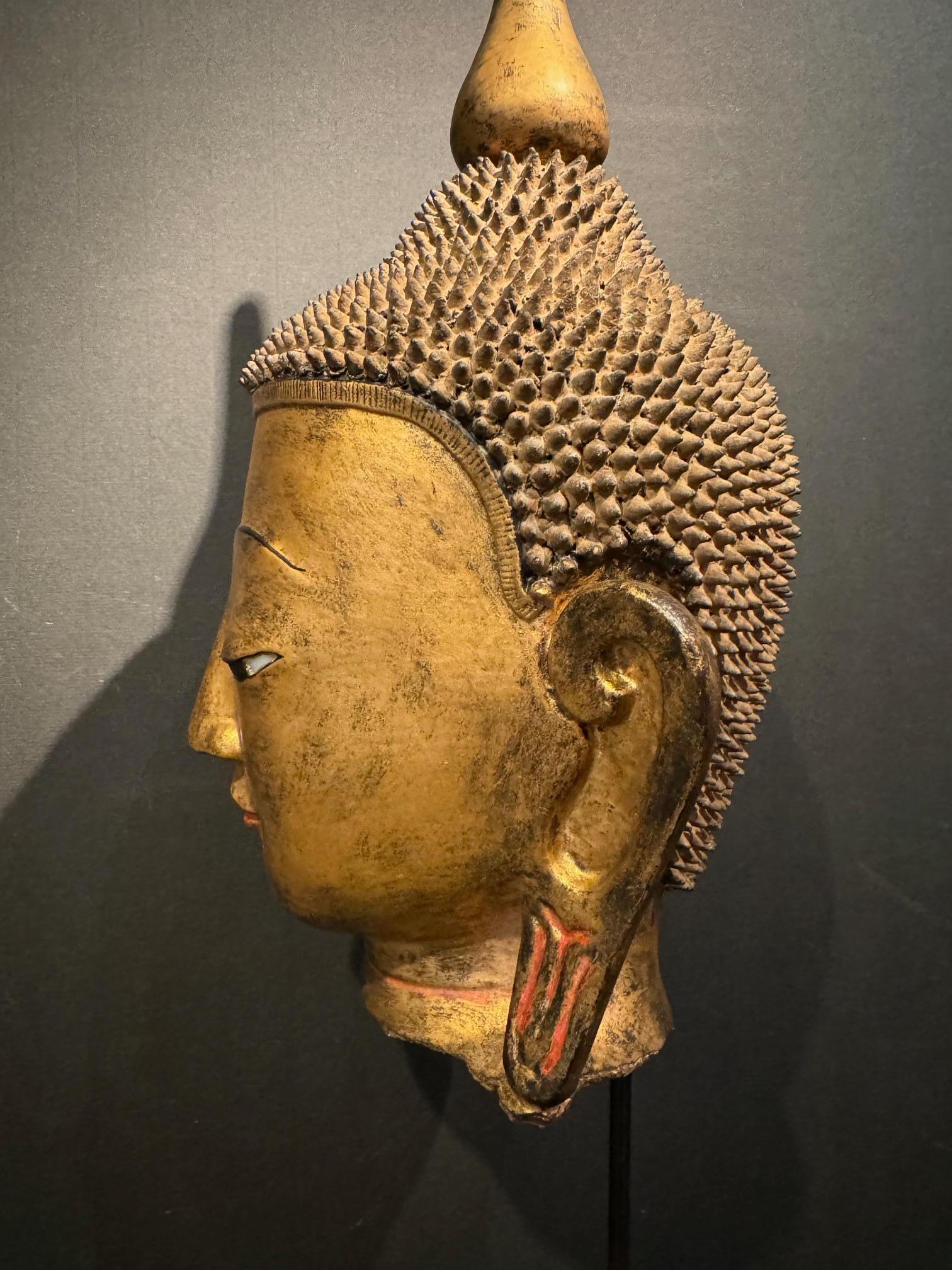 Bouddha Head, Terracotta, Burma or Thailand, late 19th century In Good Condition In PARIS, FR