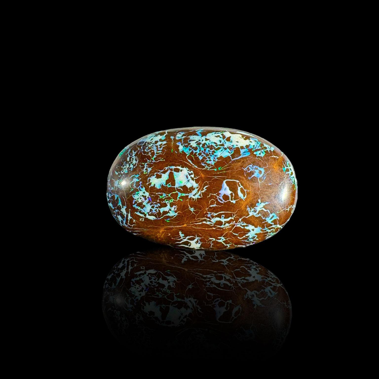 Este elegante Ópalo Boulder de Australia destila sofisticación con su delicado entramado de vibrantes matices de ópalo entrelazados sobre una rica matriz de piedra de hierro marrón. El acabado pulido realza su belleza natural, mostrando fascinantes