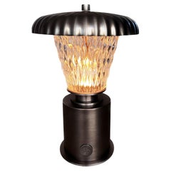 Boulevard Portable Led Lamp, André Fu Living Bronze Glass New