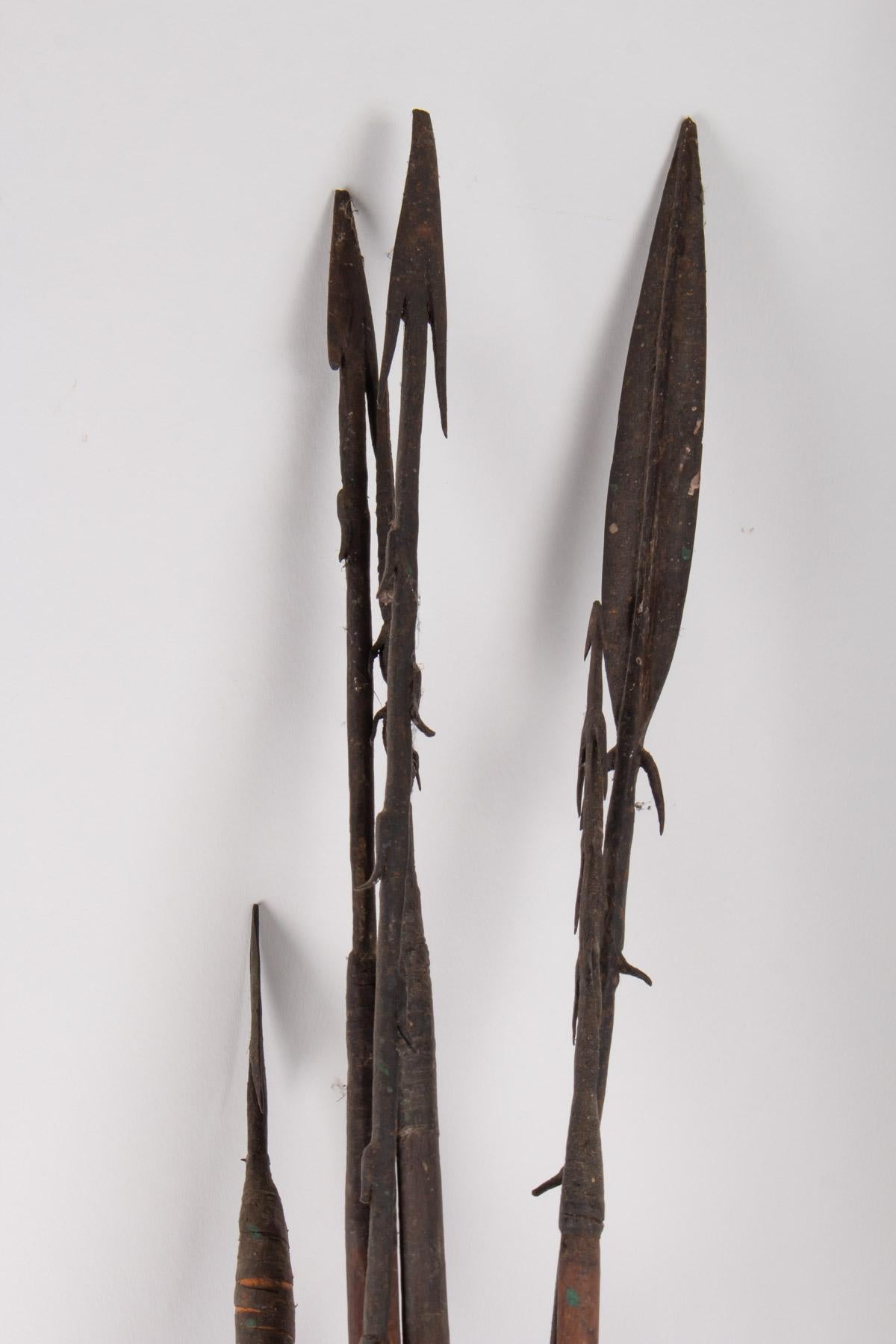 Central American Bow and Arrows of South America, Antiquity of the 19th Century, 6 Arrows