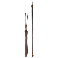 Bow and Arrows of South America, Antiquity of the 19th Century, 6 Arrows