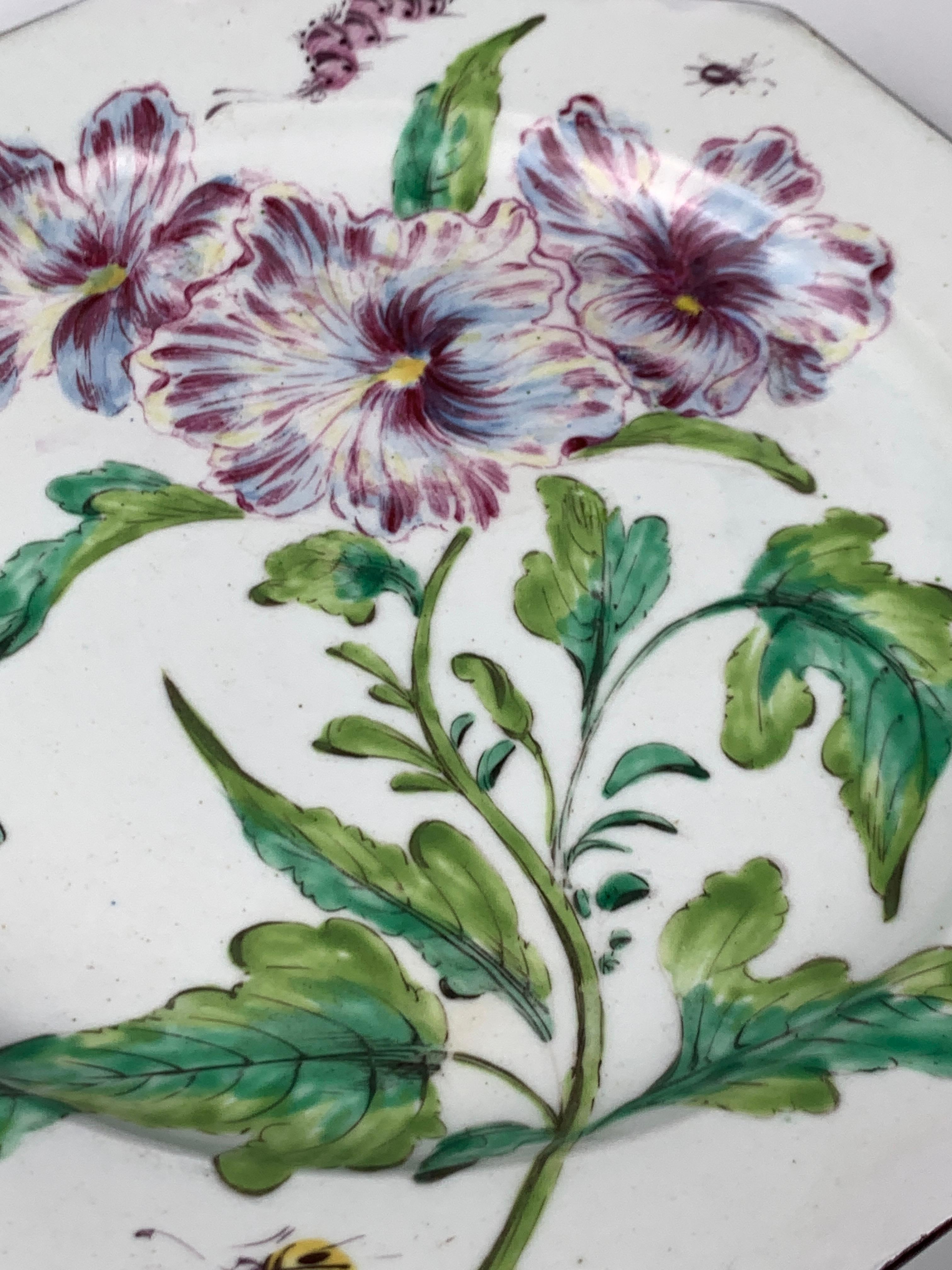 Bow Botanical Plate, Hans Sloane Style, England Mid-18th Century Circa 1760 2