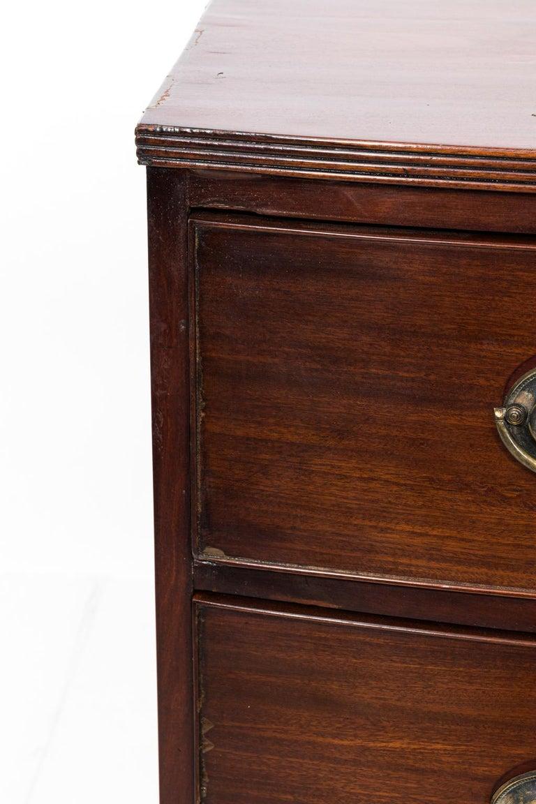 Bow Front Bachelor's Chest of Drawers, circa 1820s For Sale at 1stdibs