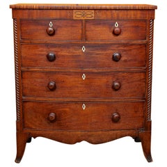 Bowfront Chest of Drawers Carved Inlaid Mahogany, 19th Century