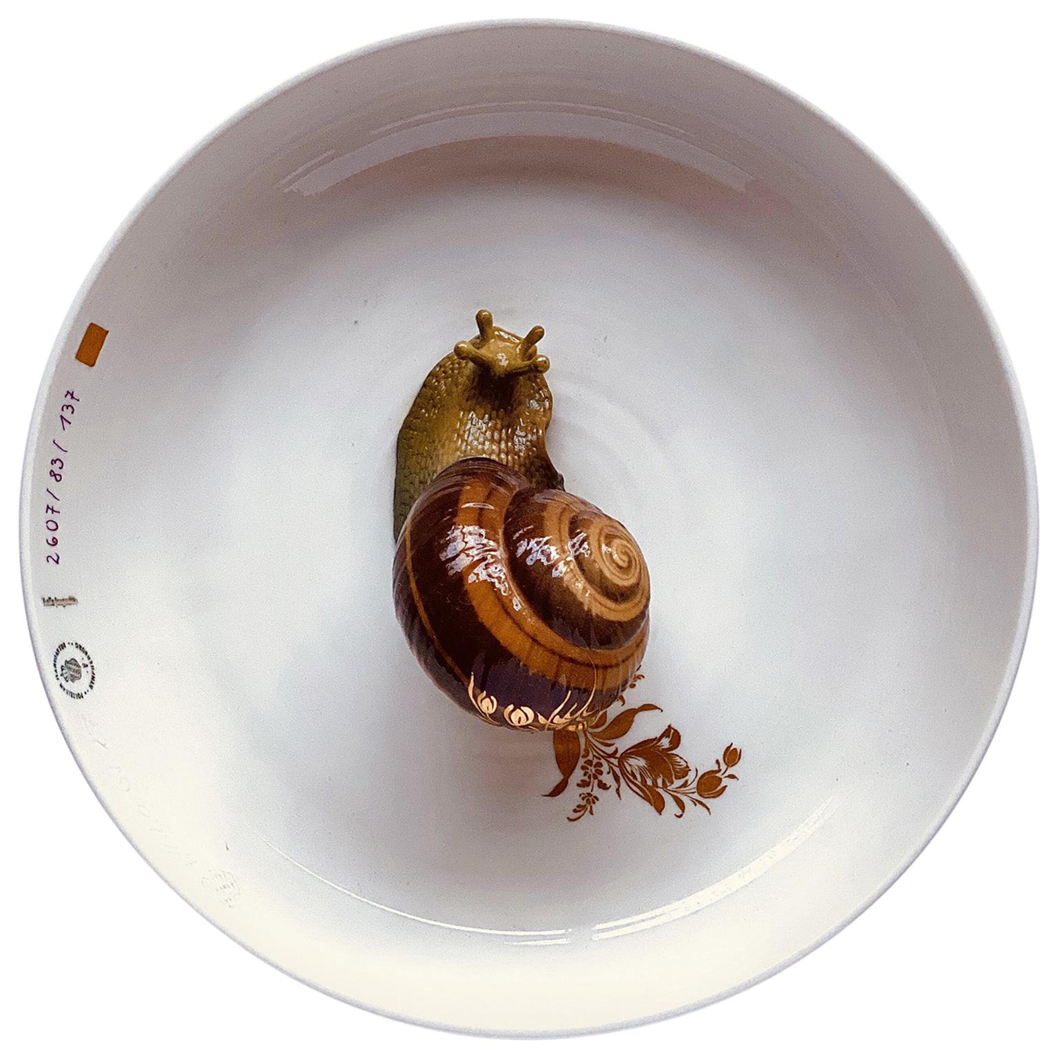 Bowl with Snail Plate Hella Jongerius for Nymphenburg