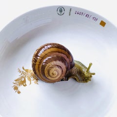 Bowl with Snail Plate Hella Jongerius for Nymphenburg