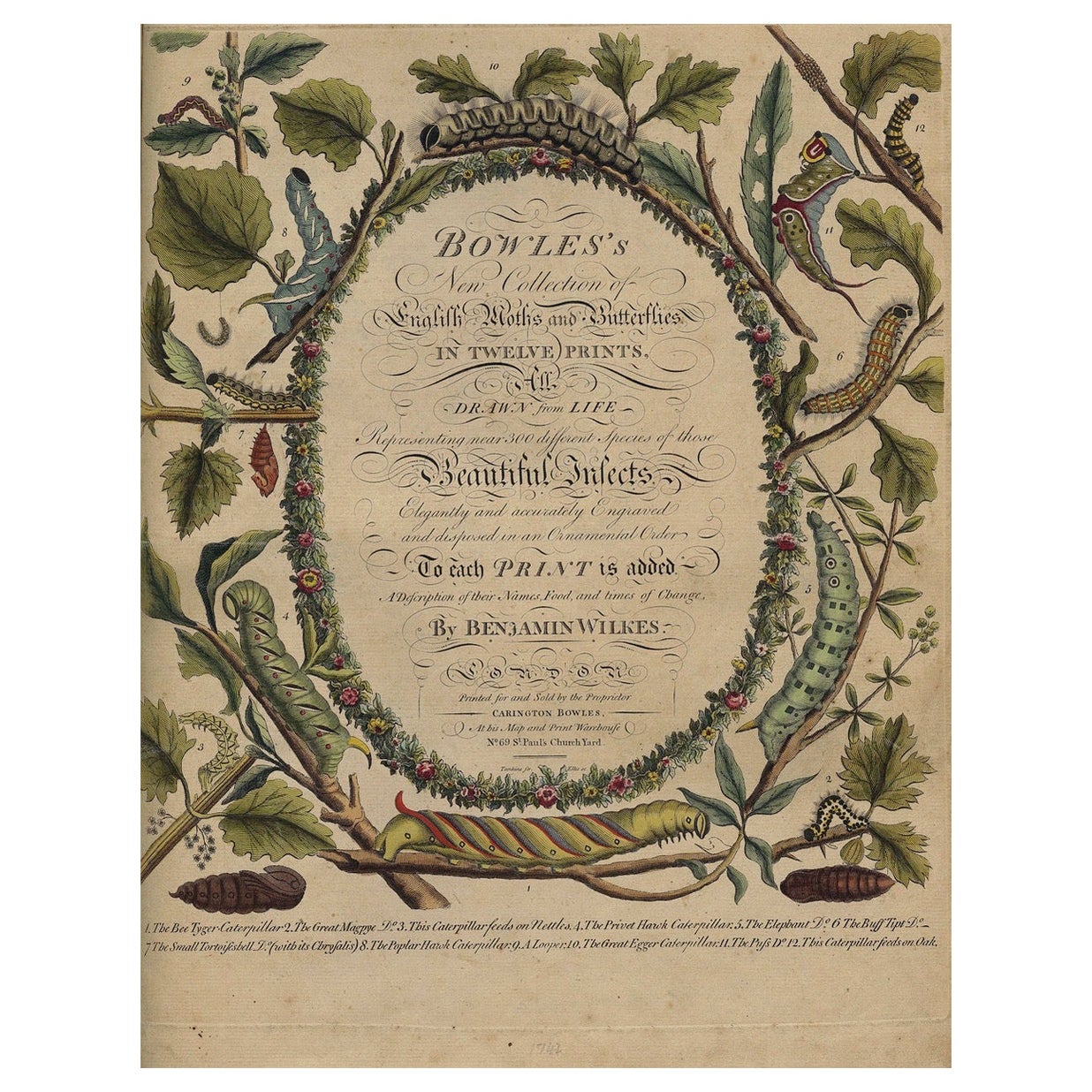 La nouvelle collection de motifs et papillons anglais de Benjamin WILKES