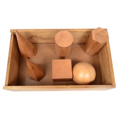 1963s Italy Vallardi Box With 6 Wooden Geometric Solids Scientific Instrument