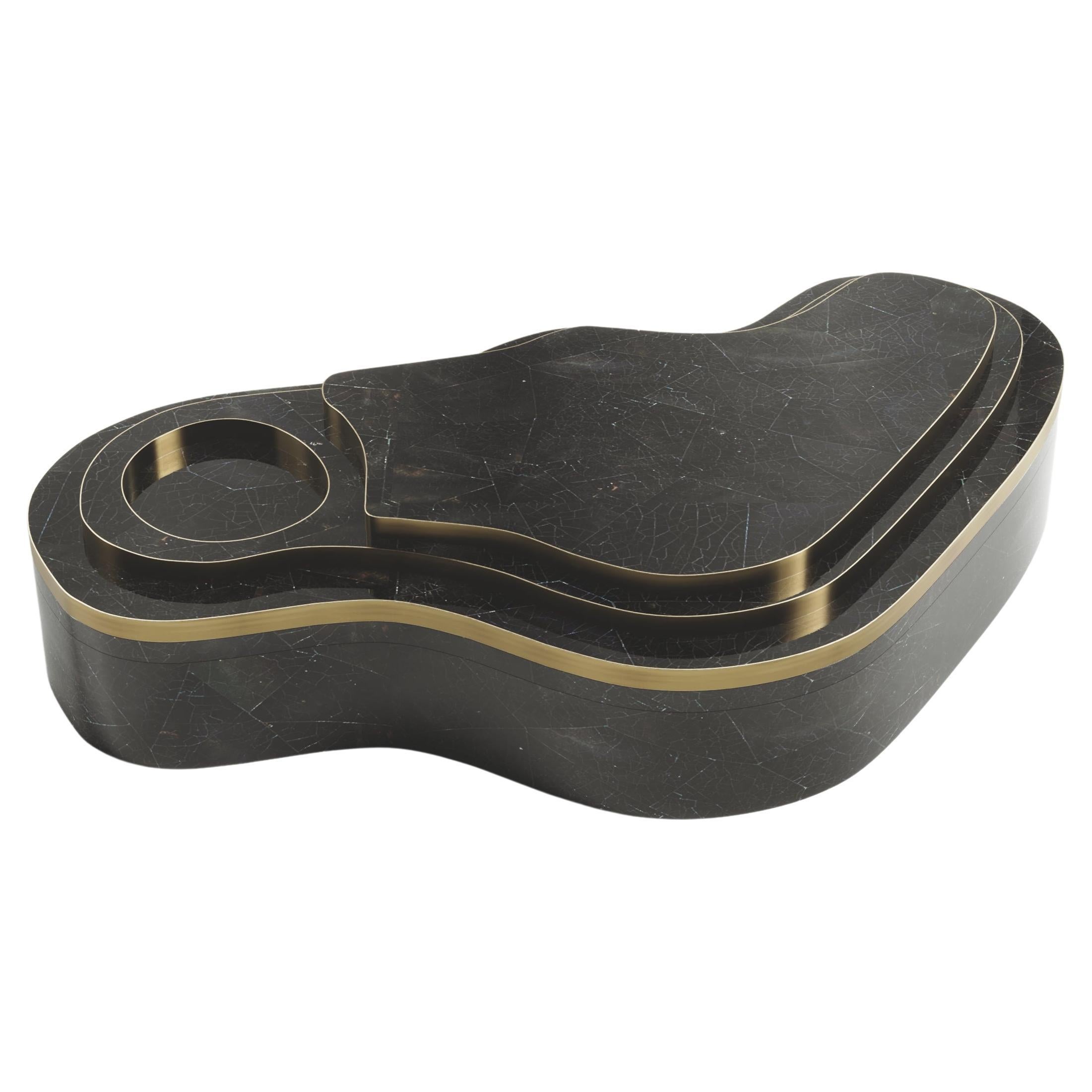 Box in Black Shell with Bronze-Patina Brass by Kifu Paris