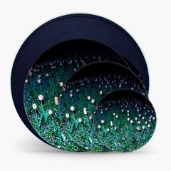 Box of 3 Porcelain Plates Collection Rue de Paradis Model " Tulips"