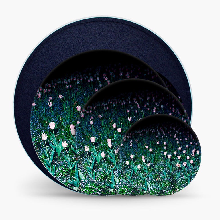 Box Of 3 Porcelain Plates Collection Rue De Paradis Model Tulips At 1stdibs