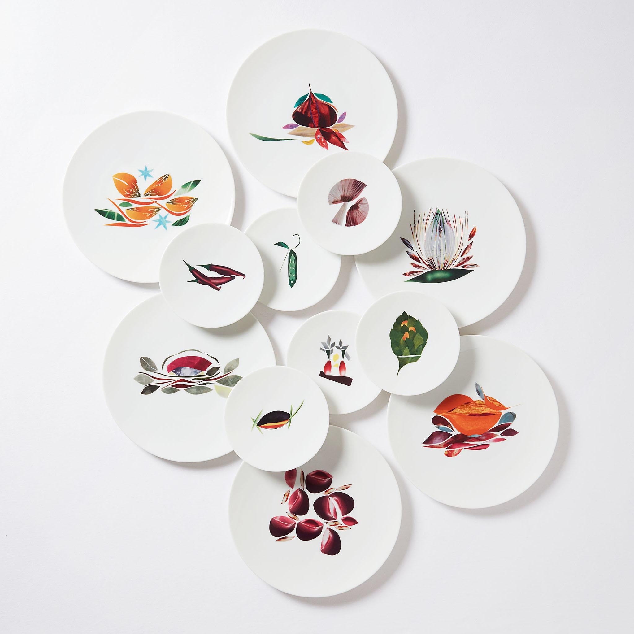 Box of 6 Dinner Porcelain Plates by the French Chef Alain Passard For Sale 6