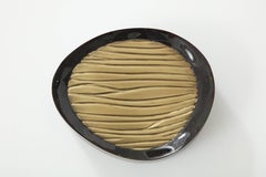 Box, Black Sea Shell and Brass Box, Decorative Box, Organic Shape, Contemporary