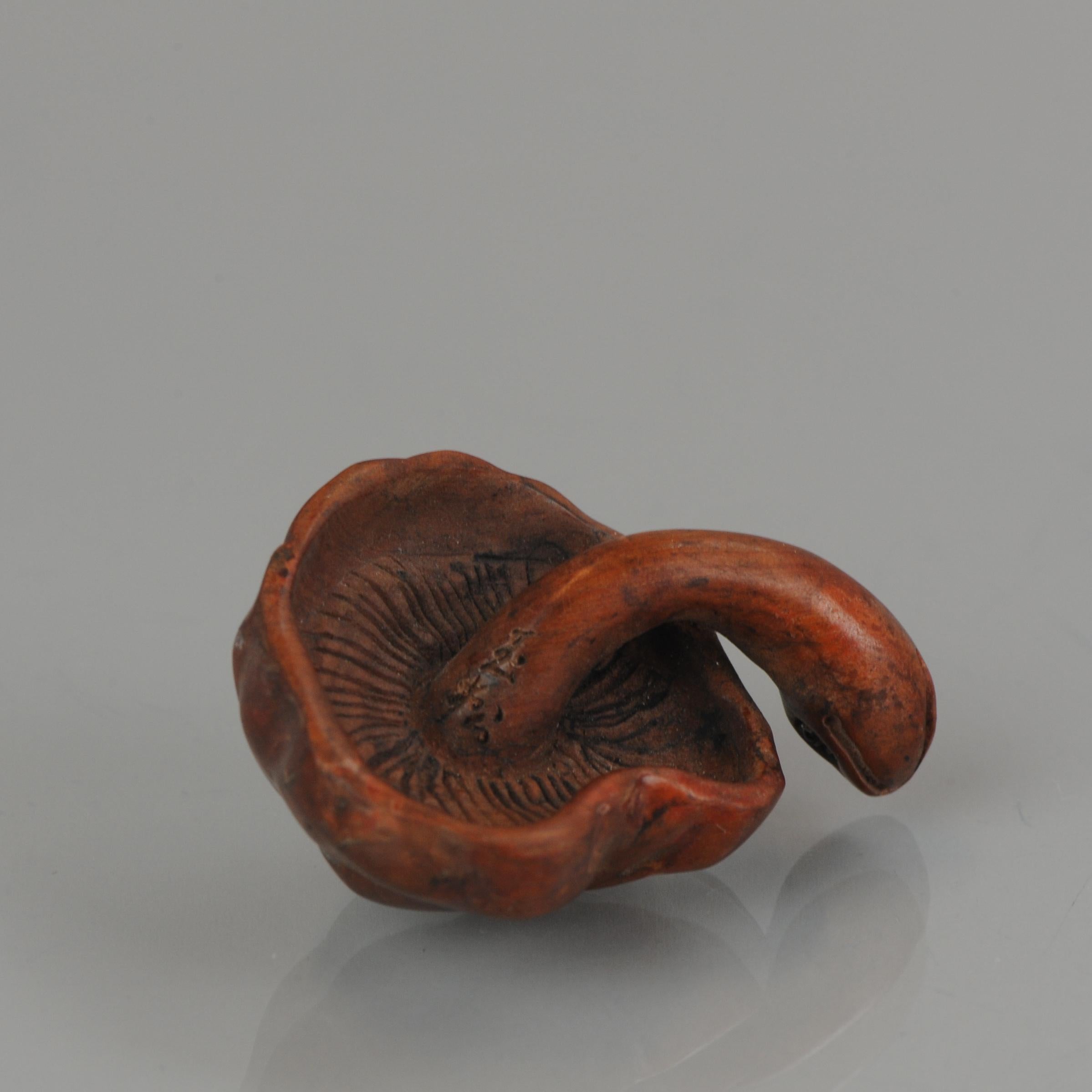 Box Wood Netsuke Turtle Mushroom Japanese Japan Signed, 20th Century In Good Condition For Sale In Amsterdam, Noord Holland