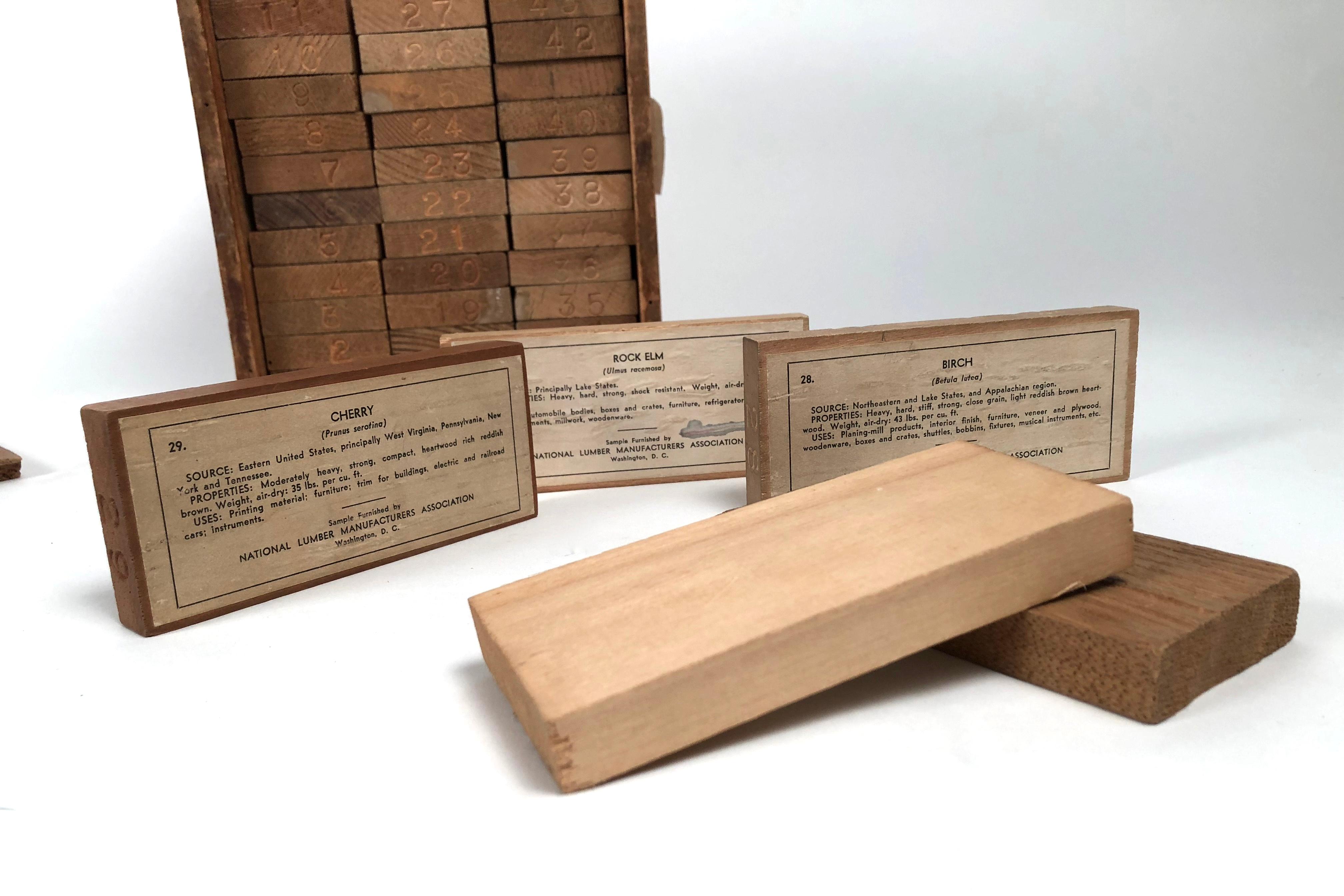 Vintage Collection of 48 American Wood Specimens 2