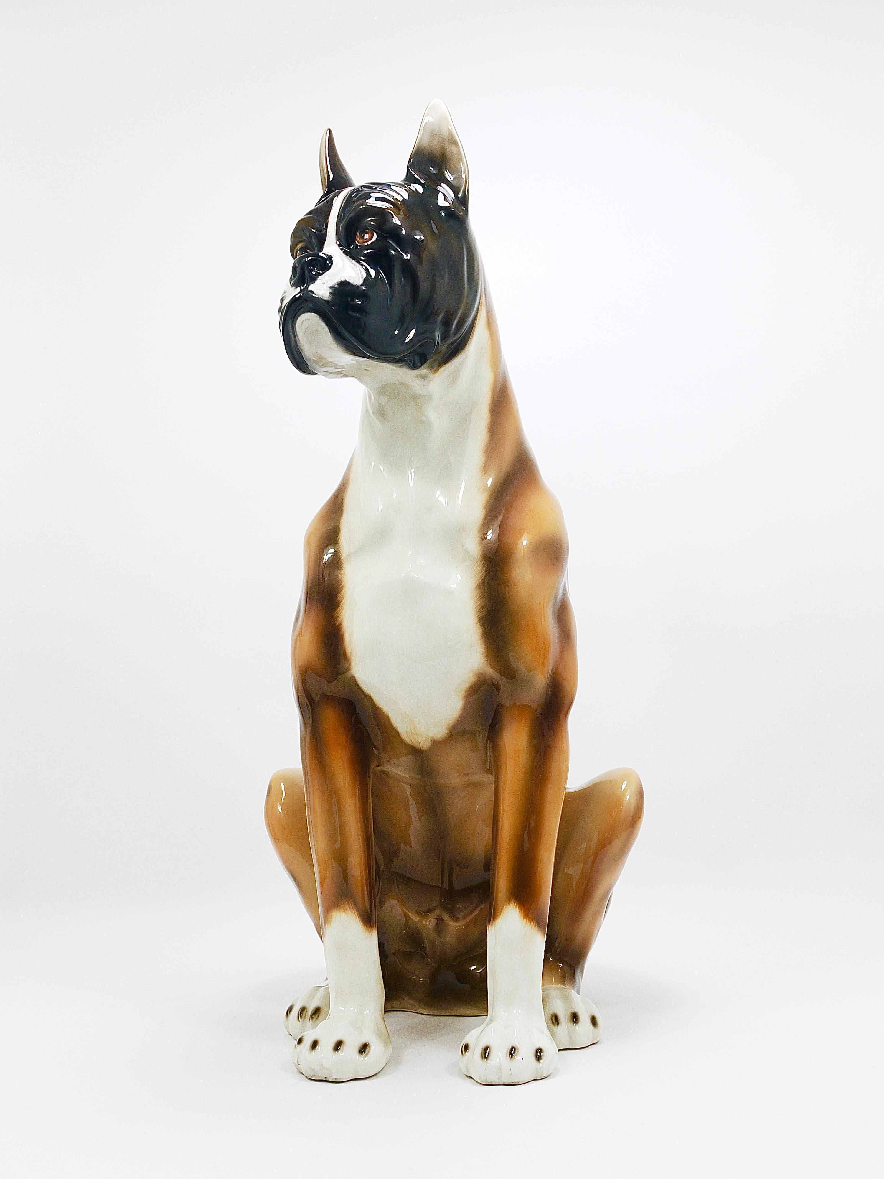 Boxer Dog Life-Size Majolica Statue Sculpture, céramique émaillée, Italie, années 1970 en vente 2