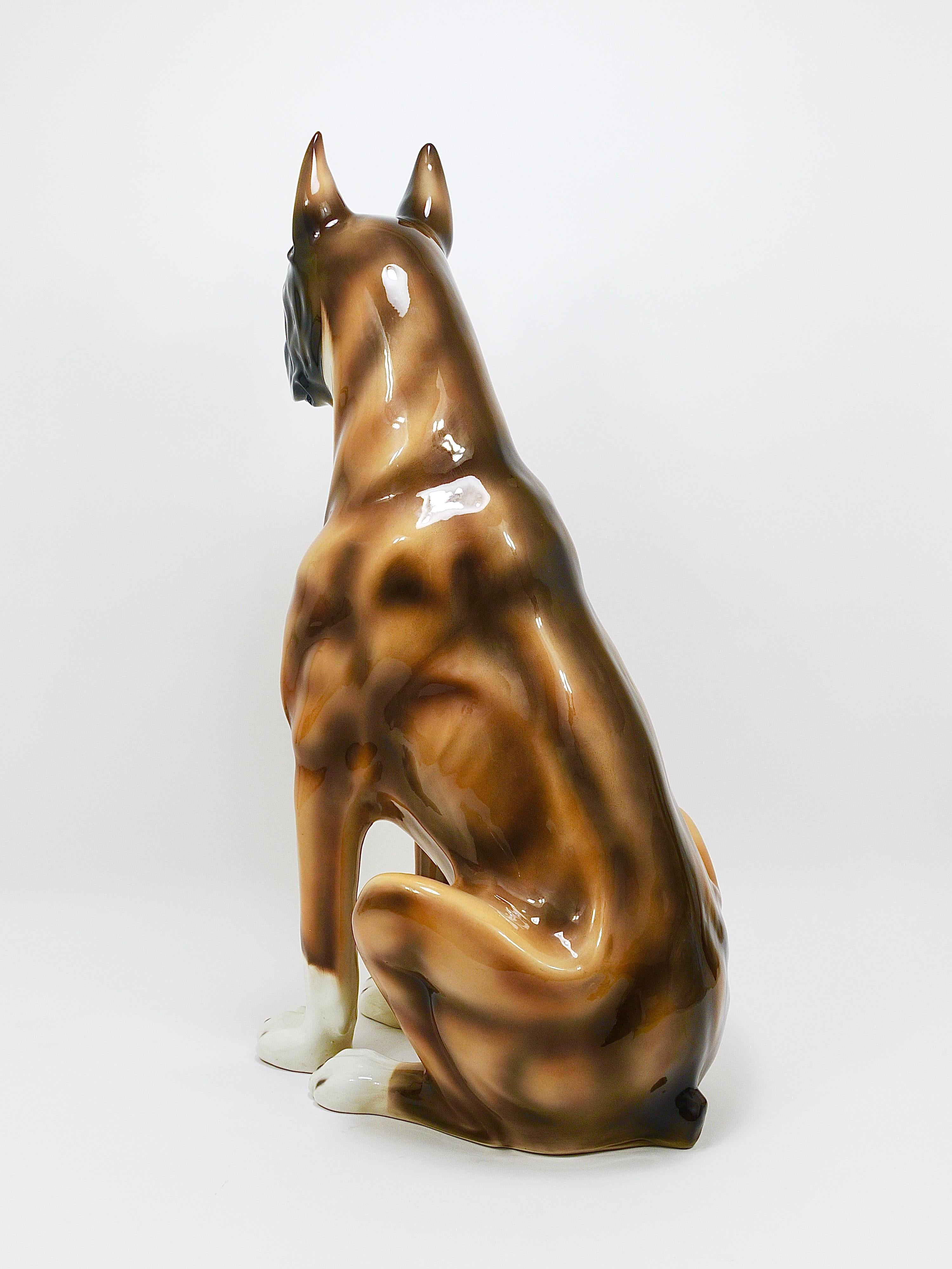 Boxer Dog Life-Size Majolica Statue Sculpture, céramique émaillée, Italie, années 1970 en vente 3