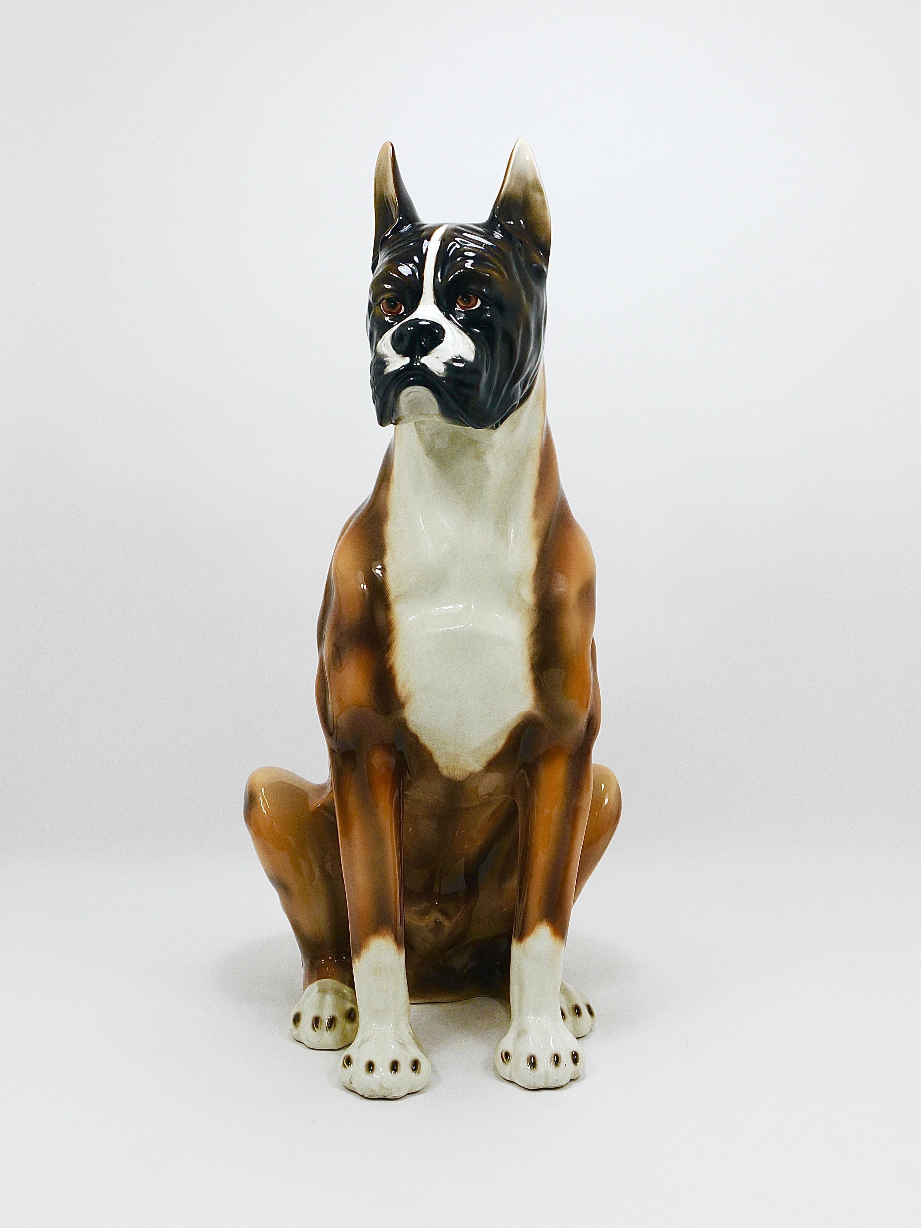 Boxer Dog Life-Size Majolica Statue Sculpture, céramique émaillée, Italie, années 1970 en vente 4