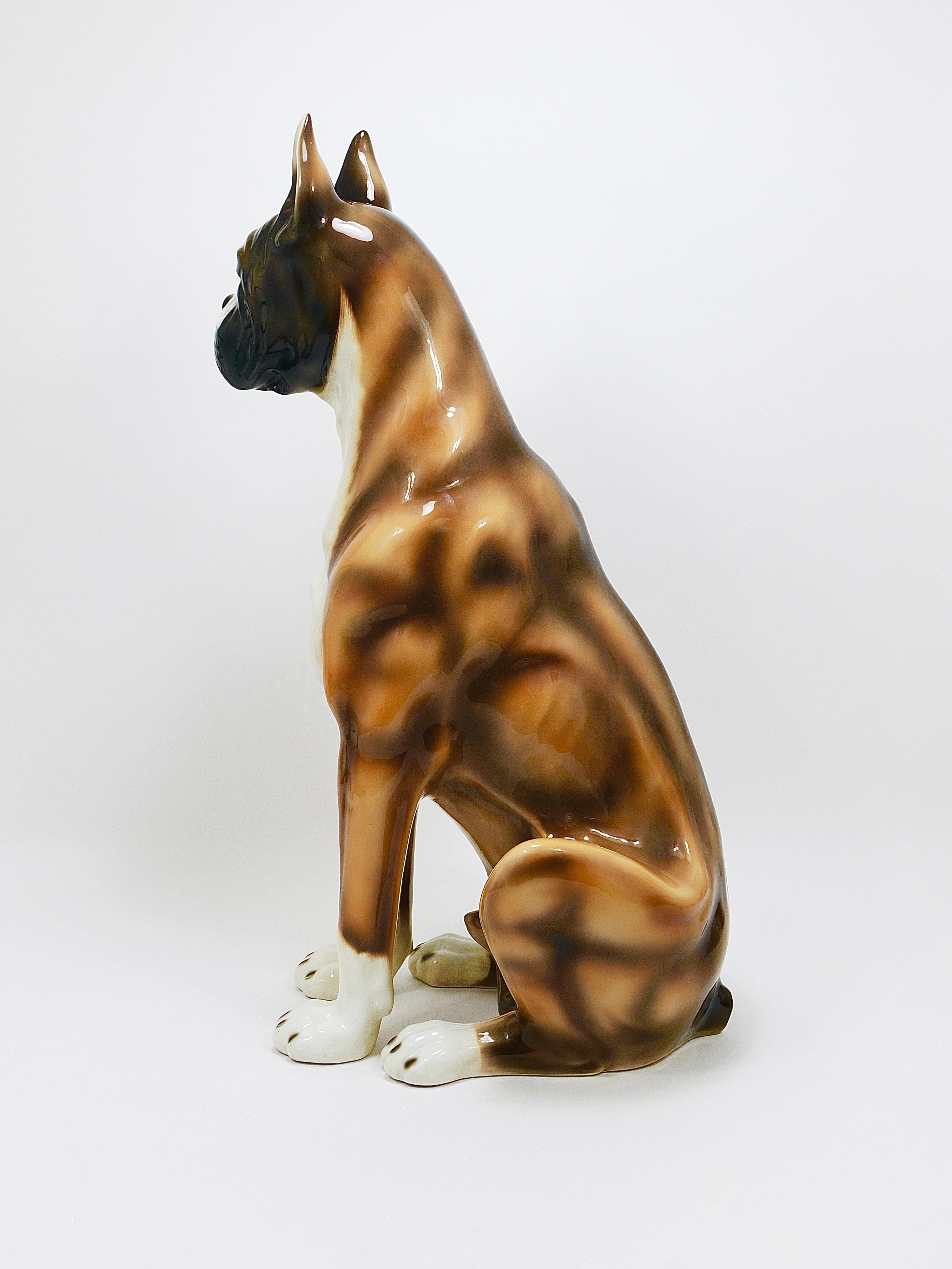 Boxer Dog Life-Size Majolica Statue Sculpture, Glazed Ceramic, Italy, 1970s For Sale 7