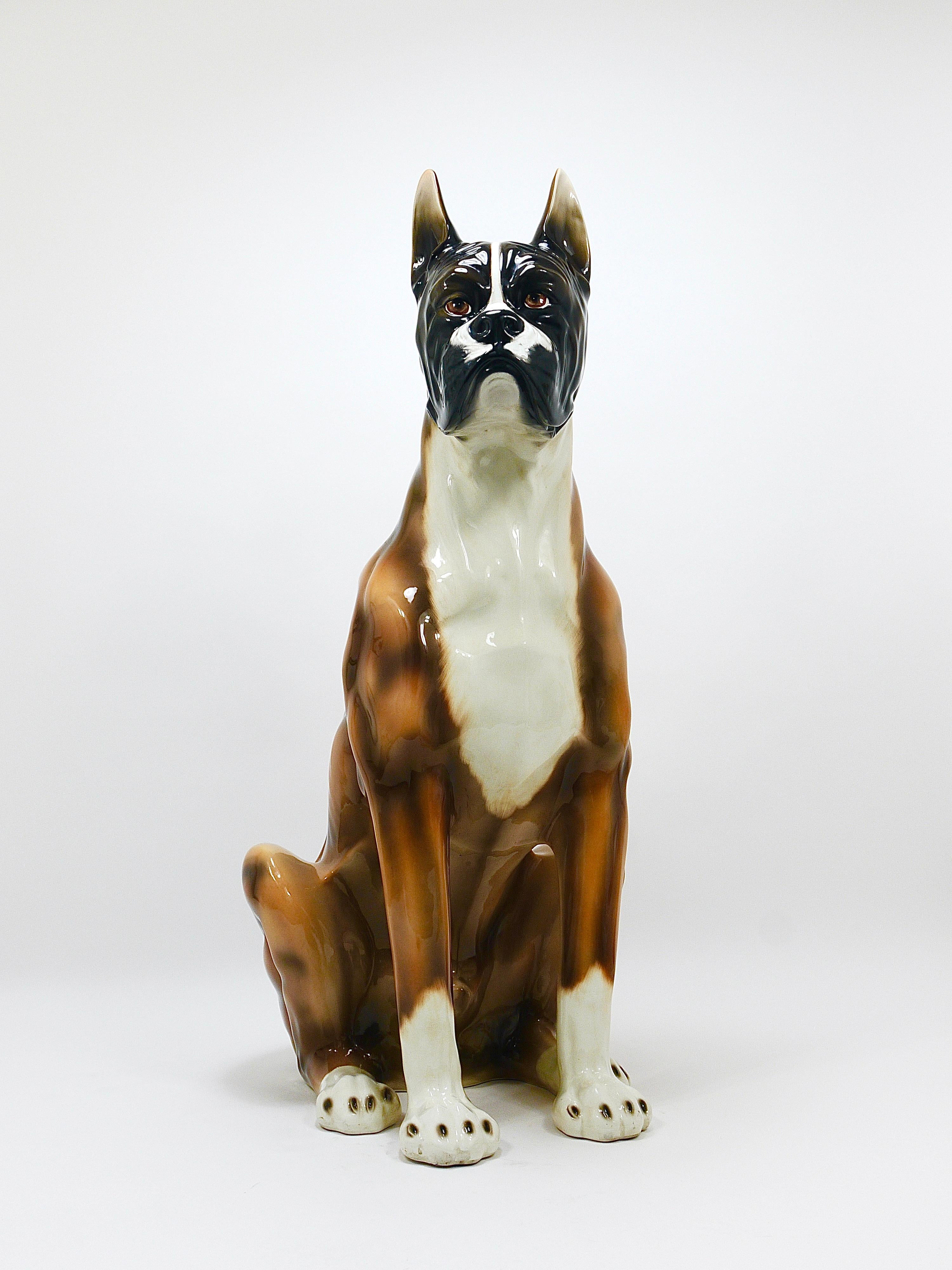 Boxer Dog Life-Size Majolica Statue Sculpture, céramique émaillée, Italie, années 1970 en vente 6